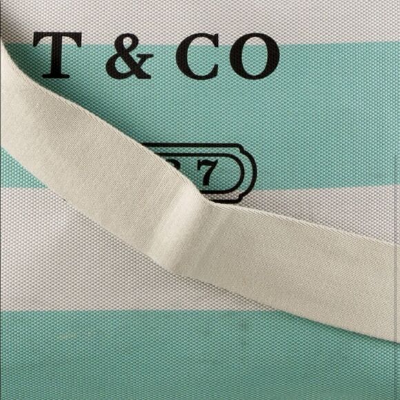 Tiffany & Co. Striped Canvas Tote - Picture 6 of 16